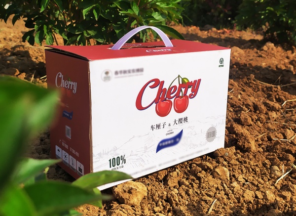 櫻桃、車(chē)厘子禮盒